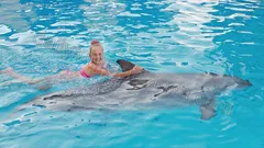 Simma Med Delfiner I Alanya nav photo 13