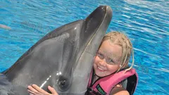 Simma Med Delfiner I Alanya nav photo 17