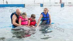 Simma Med Delfiner I Alanya nav photo 7