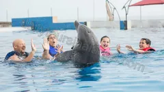 Simma Med Delfiner I Alanya nav photo 8