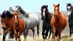 Alanya Altinbesik Cave Tour nav photo 17