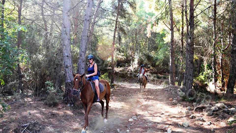 Ridning i Alanya photo 15