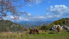 Ridning i Alanya nav photo 10