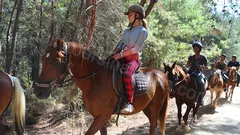 Ridning i Alanya nav photo 14