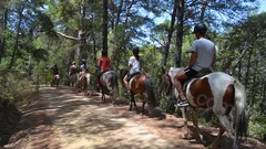 Ridning i Alanya nav photo 16