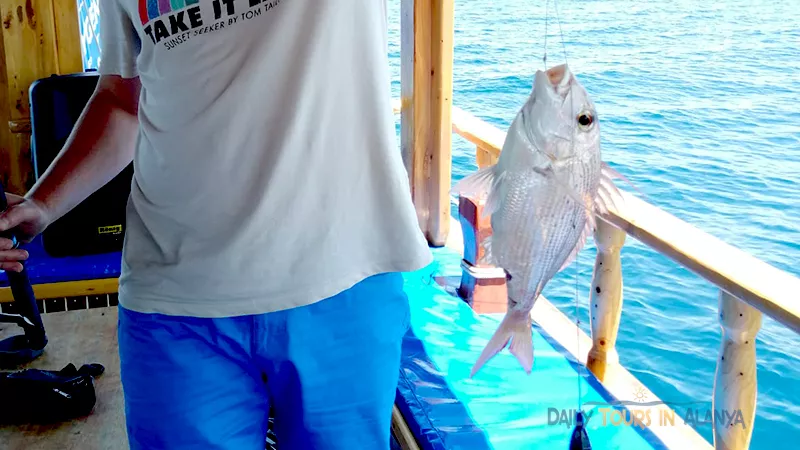 Alanya Fishing image 7