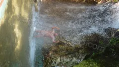 Alanya Jeep Safari nav photo 41