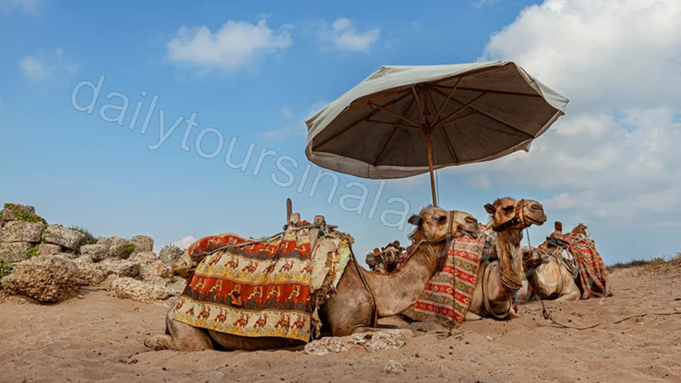 Manavgat Vattenfall Aspendos Side Utflykt från Alanya photo 14