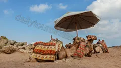 Manavgat Vattenfall Aspendos Side Utflykt från Alanya nav photo 14