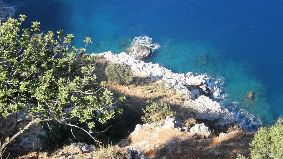 Yachttur i Grupp i Alanya photo 9