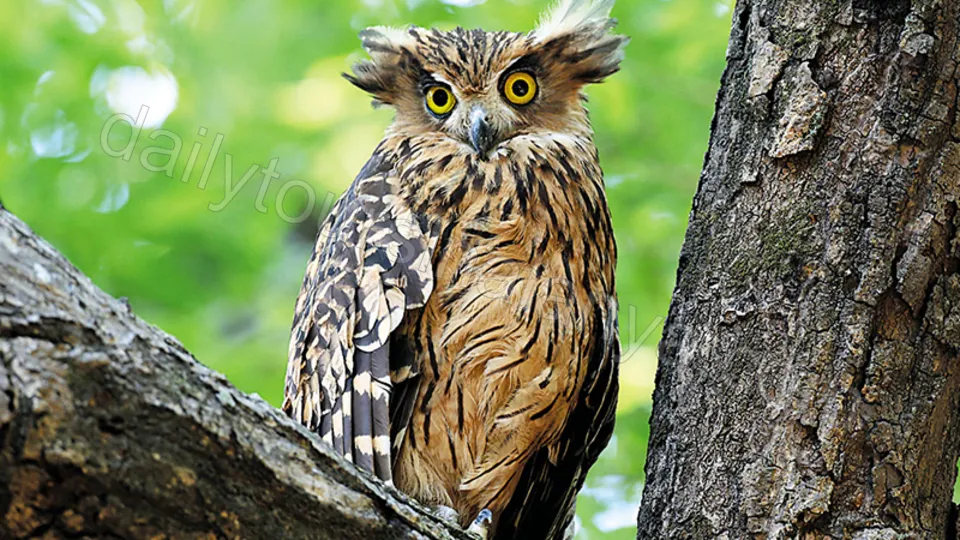 Green Canyon Boat Tour photo 8