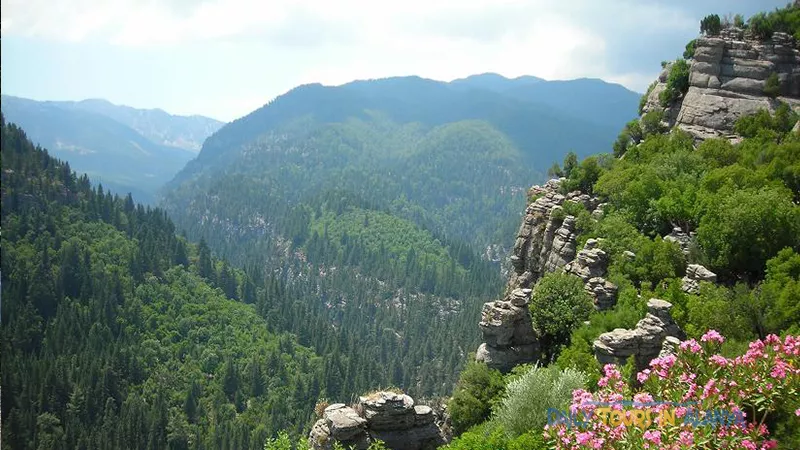 Alanya Tazı Kanyon Büyük Zipline ve Jeep Safari ile Rafting image 16