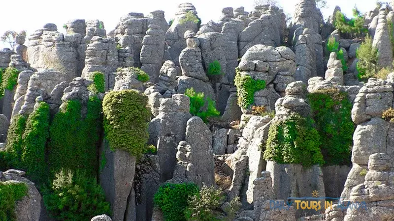 Alanya Tazı Kanyon Turu image 28