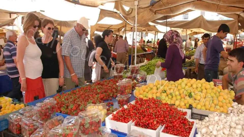 Alanyadan Manavgat Tekne Turu photo 17