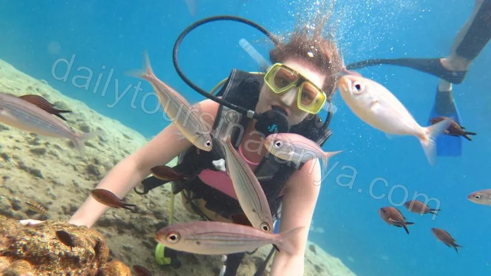 Dykking i Alanya photo 9