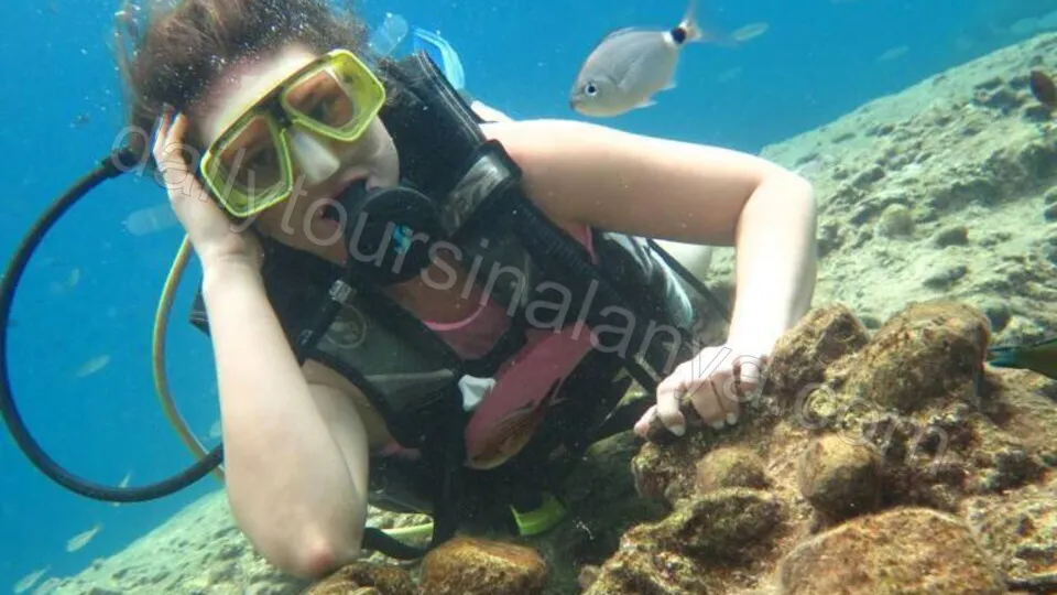 Dykking i Alanya photo 11