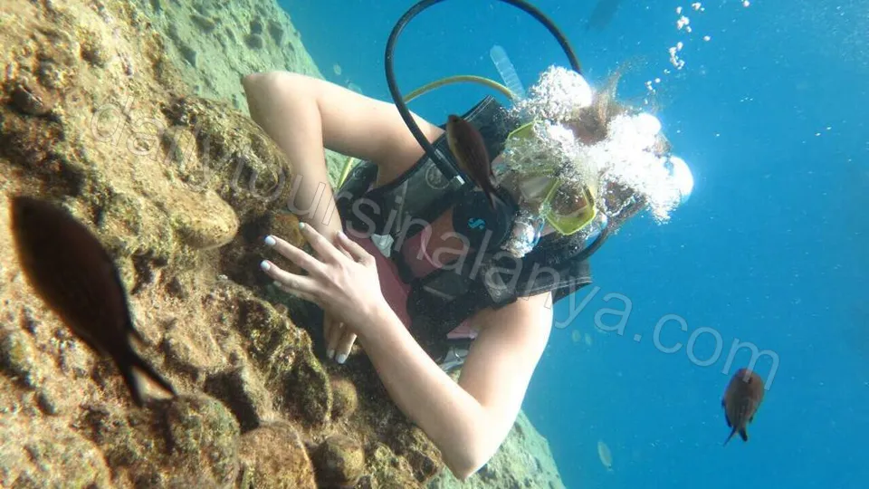 Dykking i Alanya photo 12