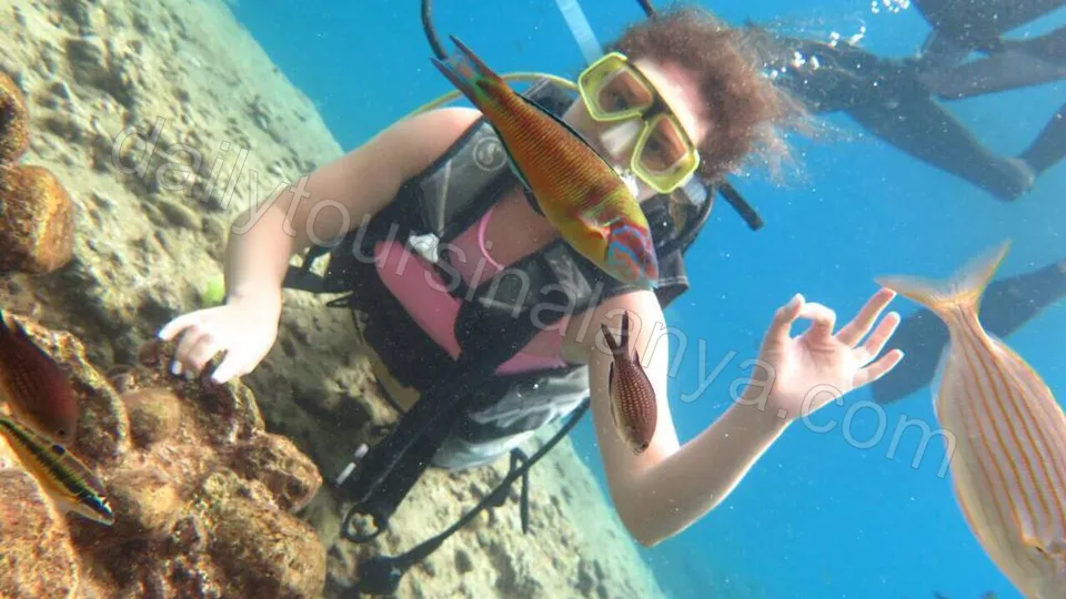 Dykking i Alanya photo 17