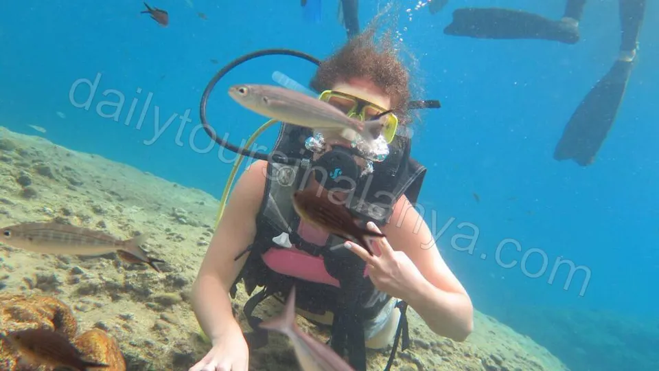 Dykking i Alanya photo 18