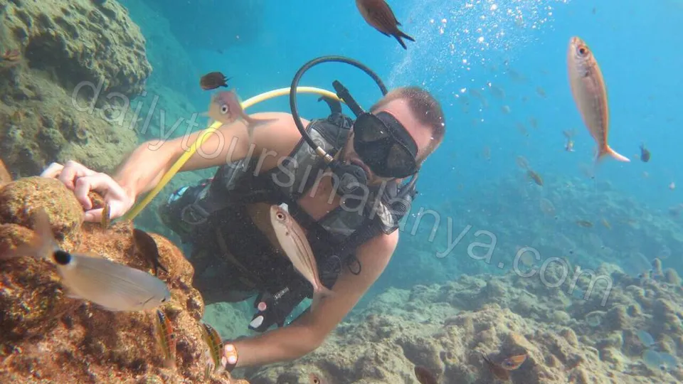 Dykking i Alanya photo 2