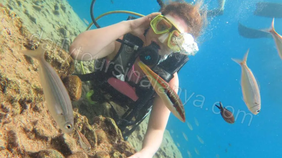 Dykking i Alanya photo 4