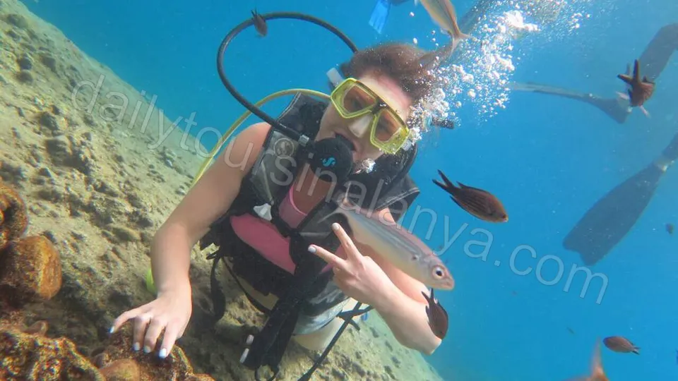 Dykking i Alanya photo 6