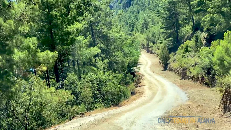 Green Canyon Jeep Safari image 8