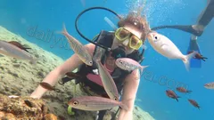 Dykking i Alanya nav photo 9