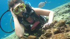 Dykking i Alanya nav photo 11