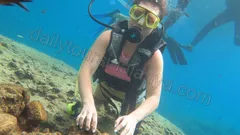 Dykking i Alanya nav photo 13