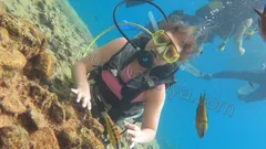 Dykking i Alanya nav photo 7