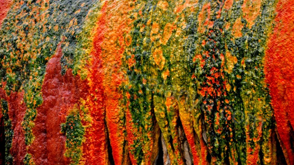 Pamukkale and Salda Lake From Alanya photo 27