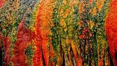 Pamukkale and Salda Lake From Alanya nav photo 27