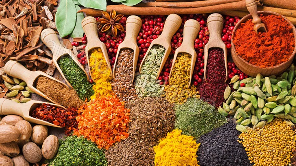 İstanbul Turu photo 9