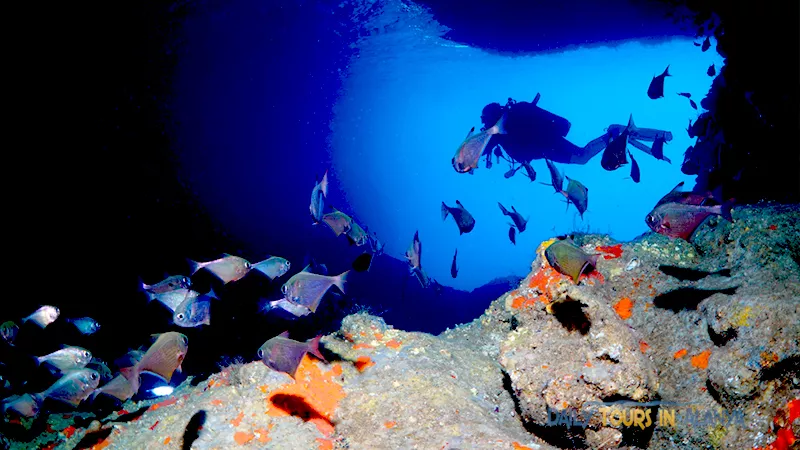 Alanya Diving image 11