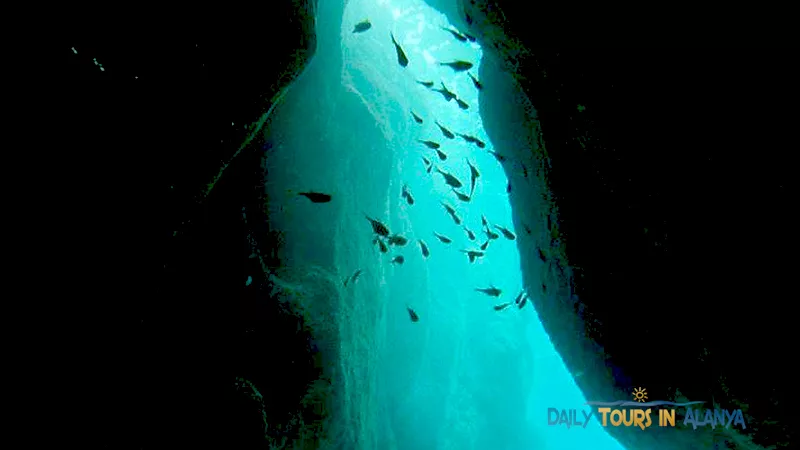 Alanya Diving image 19