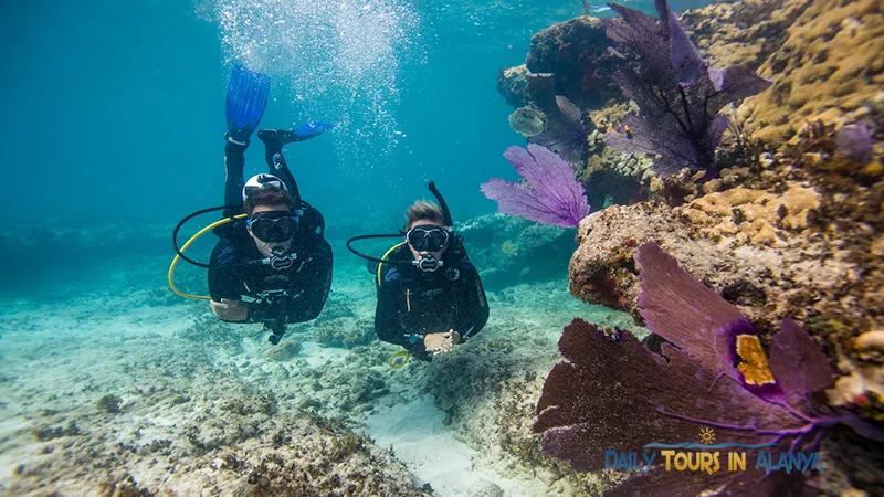 Alanya Diving image 7