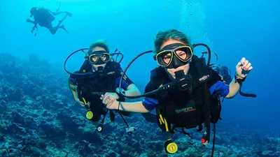 Alanya Tüplü Dalış