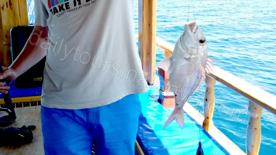 Gruppfiske i Alanya photo 16