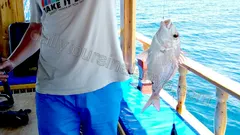 Gruppfiske i Alanya nav photo 16