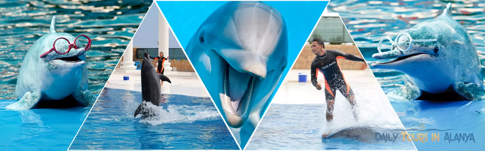 Alanya Dolphin Show 