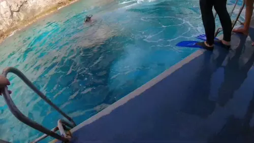 Dykking i Alanya animation image 