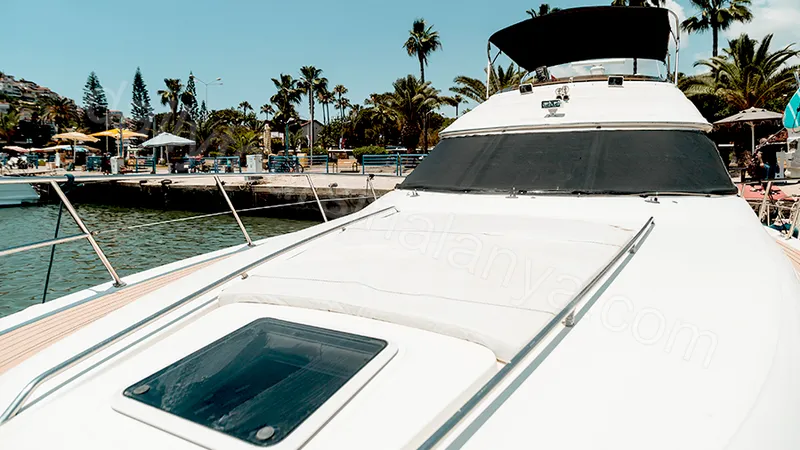 Esperanza  thumb 40