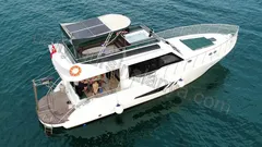 Free Lion nav photo 0