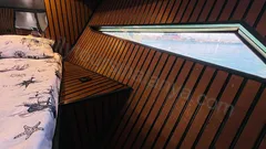 Free Lion nav photo 11