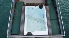 Free Lion nav photo 1