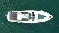 Free Lion nav photo 2