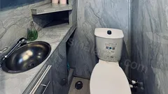 Free Lion nav photo 8