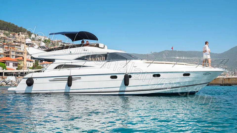 Barbossa Deluxe photo 0